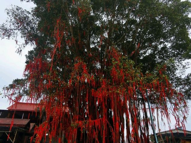 Popular Attraction in Malaysia
