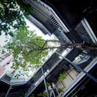 灣仔藍屋—聯繫居民們的社交公所