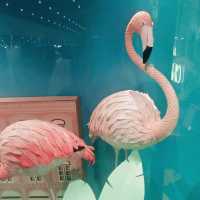 香港最有特色的 K11 MUSEA！滿足家人以及毛小孩的好去處！