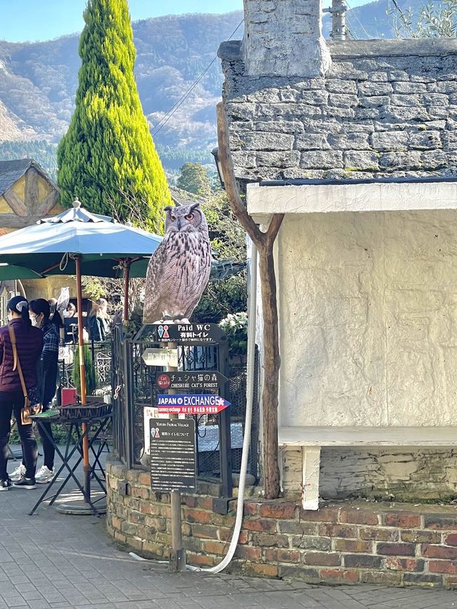 동화 속으로 들어온 것만 같은 "Yufuin Floral Village"🌼🌷