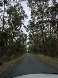 Truly the Great Ocean Road