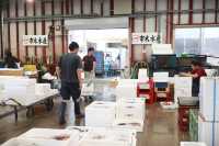 魚市場遊記