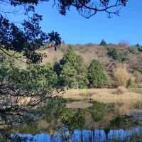 風光明媚-冷水坑坑生態池