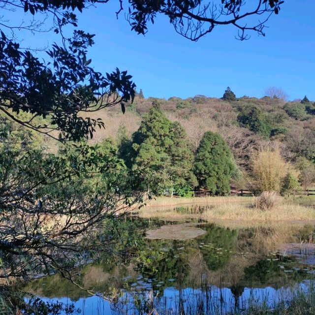 風光明媚-冷水坑坑生態池