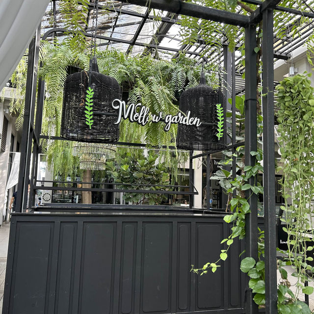 Mellow garden 🪴 ร้านสวย