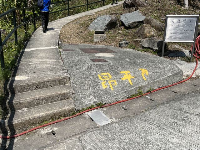 挑戰成功！由馬鞍山村出發行上昂平草原