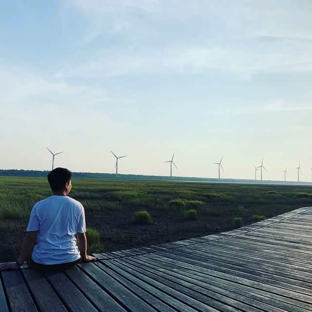 高美濕地-美得令人感動既自然風光