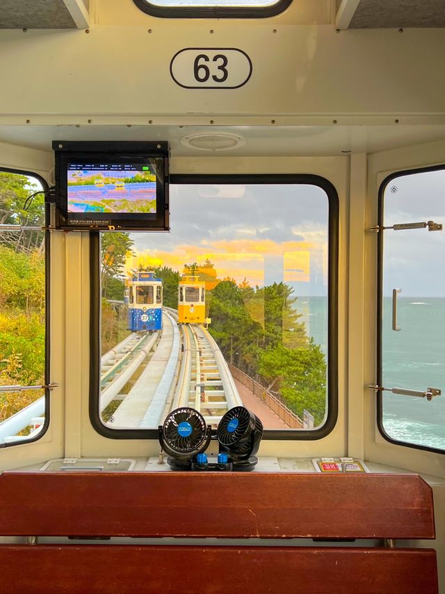 해운대 필수코스 블루라인파크 스카이캡슐🚃