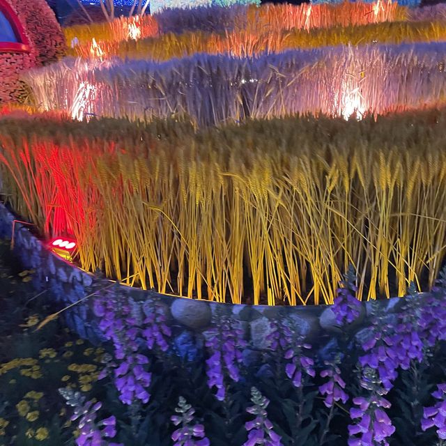 返嚟啦，返嚟啦，2023香港🌸🌹🌻花卉展覽