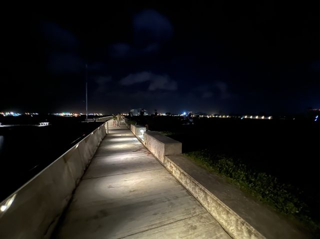 Best Night View of the Singapore Skyline