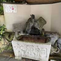 走進時光隧道——秋日遊宇治神社