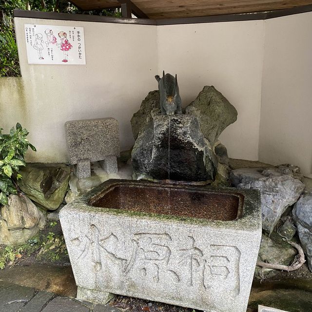 走進時光隧道——秋日遊宇治神社
