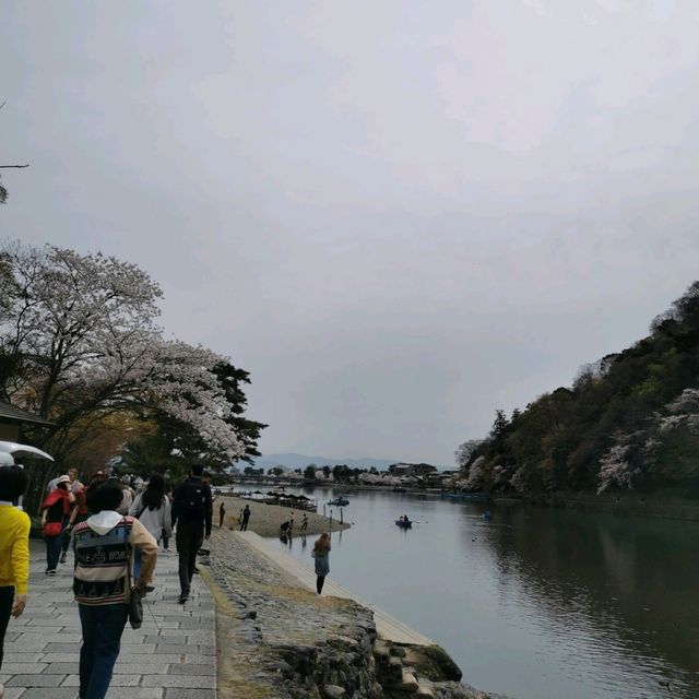 beautiful Arashiyama