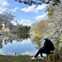 Hirosaki Castle!! 