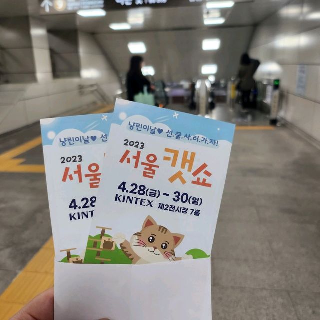 고양이집사라면 꼭 가야할 서울 캣쇼 다녀왔습니다😻