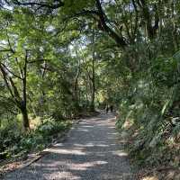 🌟台北天母｜天母古道 水管路步道 翠峰瀑布 健行親山
