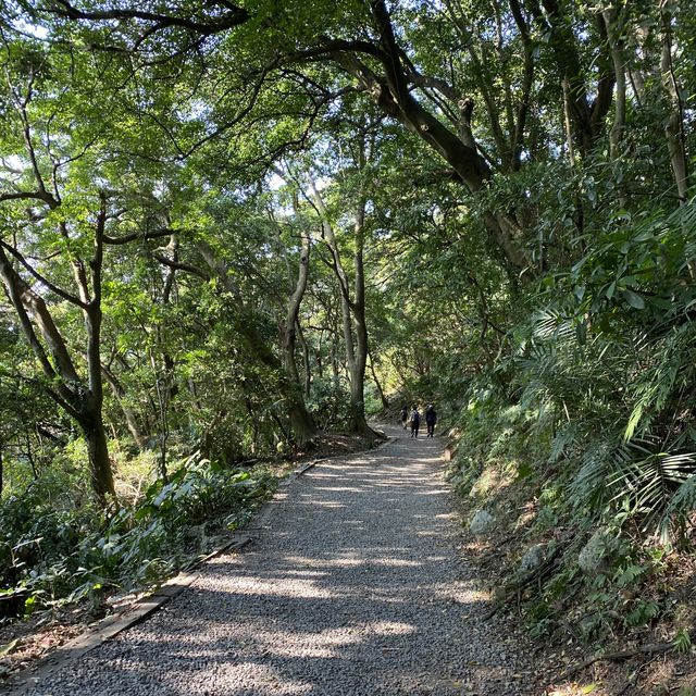 🌟台北天母｜天母古道 水管路步道 翠峰瀑布 健行親山
