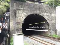 สวนป่าไผ่ &สะพานแม่น้ำสุขใจ @ARASHIYAMA