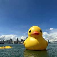 Fatty Puffy meet Duckys