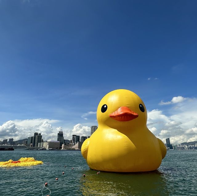 Fatty Puffy meet Duckys