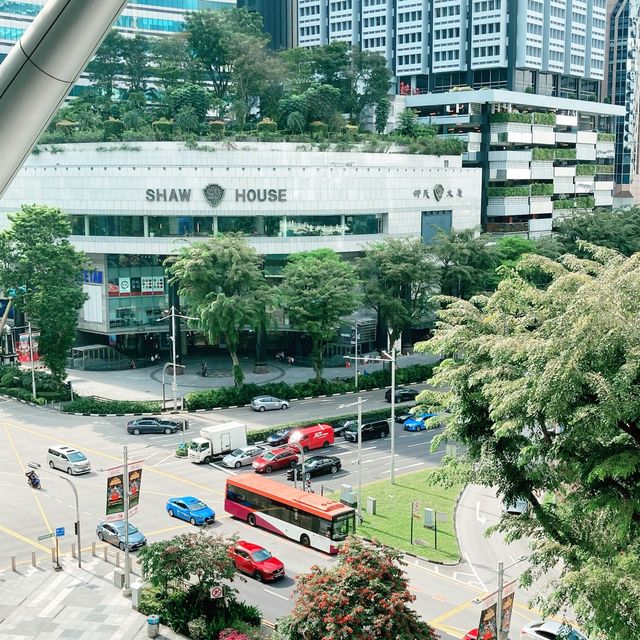 The ♥️ of ORCHARD ROAD…