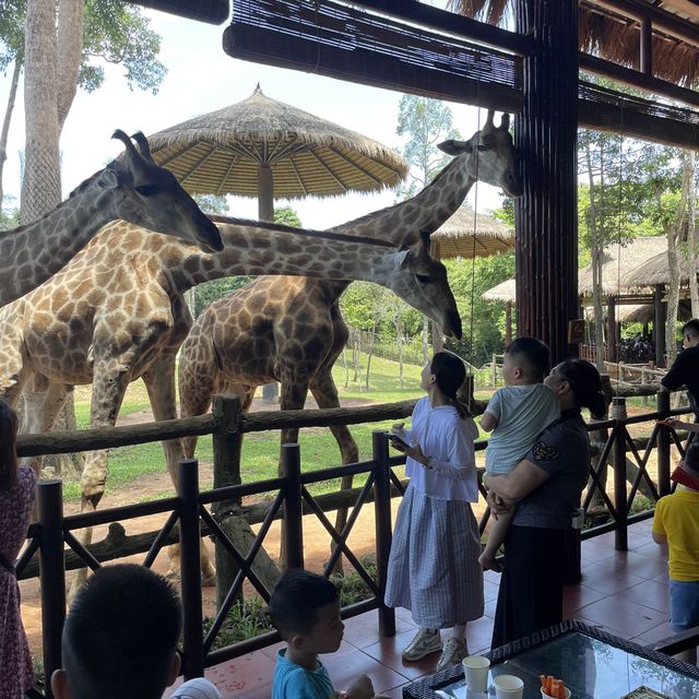 Vinpearl Safari park in Phu Quoc Vietnam 