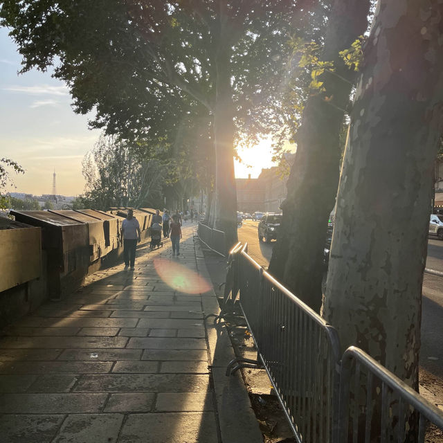 Summer evening with Seine and Lourve