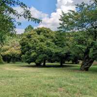 代々木公園