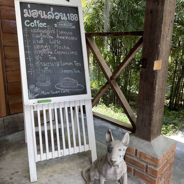 ม่อนสวนคาเฟ่ #ดอยสะเก็ด
