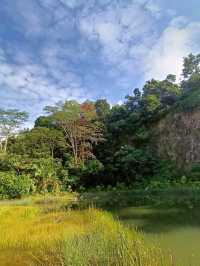 Rifle Range Walk By NParks