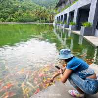 โรงแรมอวตาร มิราเคิลส์ ที่พักกลางหุบเขา