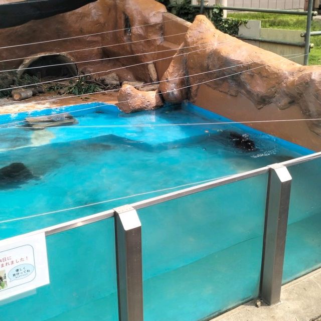 TOBU ZOO ญี่ปุ่น