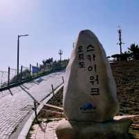 🌊 부산 남구의 바다를 지키는 우뚝 선 6개의 섬, 오륙도 