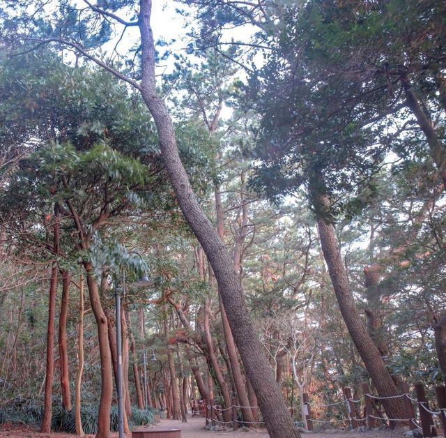 일몰, 일출 모두가 환상적인 시간을 새섬에서