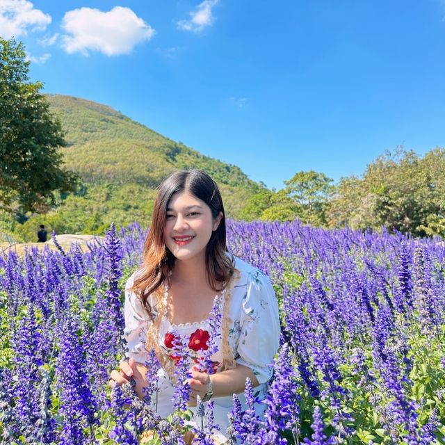 สวนละไม นานาดอกไม้🌷🌹🌻