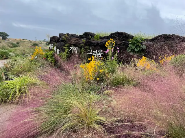 Scenic walk at Camellia Hills Jeju