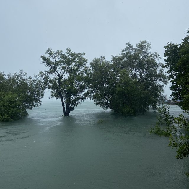 Krabi in the rain⛈️