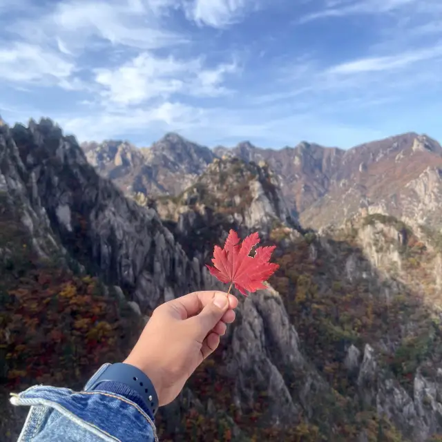 Golden Mountain in South Korea 🇰🇷