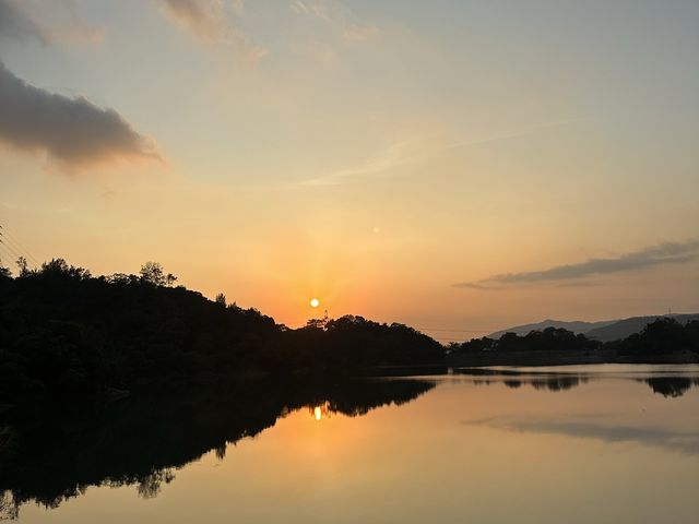 迷人的水塘與白千層，踏上城門水塘之旅