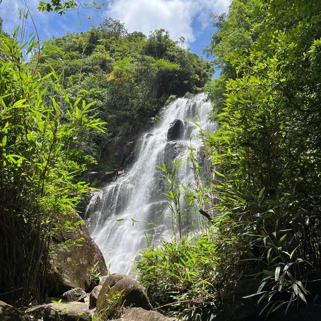 🌲🏞️ 白神山地～沐浴在溪流瀑布的清涼中！💦🌄🚶