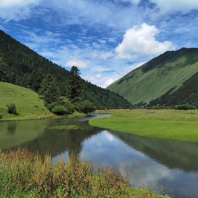 金光峽梯田生態風景區 🌾登高賞景🏞️🌾