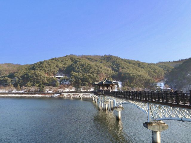 안동여행 가면 낮과 밤 모두 꼭꼭 가야하는 월영교🌉💜