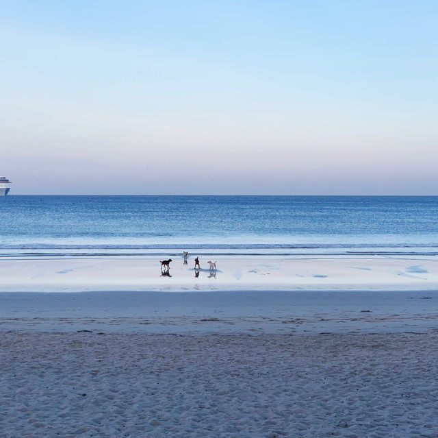 At the beach, time pauses, and serenity takes