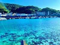 【絶景】限りなく透明に近いブルー！知る人ぞ知る美しい日本の海！柏島🚢