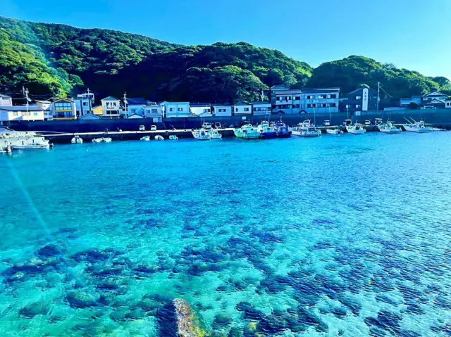 【絶景】限りなく透明に近いブルー！知る人ぞ知る美しい日本の海！柏島🚢