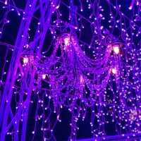 【神奈川県/江の島　関東三大イルミネーション”湘南の宝石💎”】
