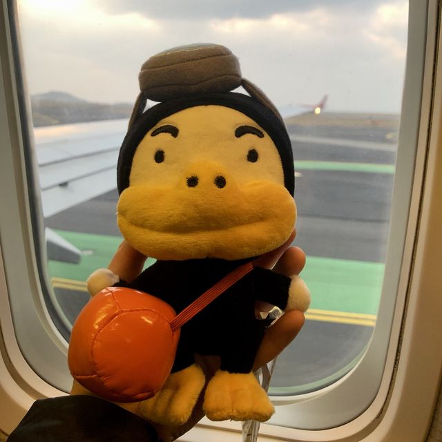 바다는 역시 제주도 겨울 바다! 