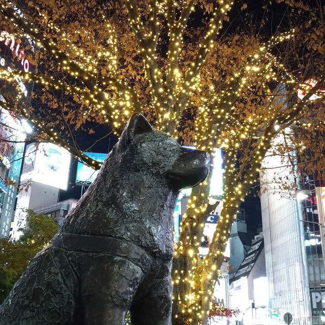 สุนัขผู้ซื่อสัตย์กับใบไม้แดง Shibuya, Tokyo