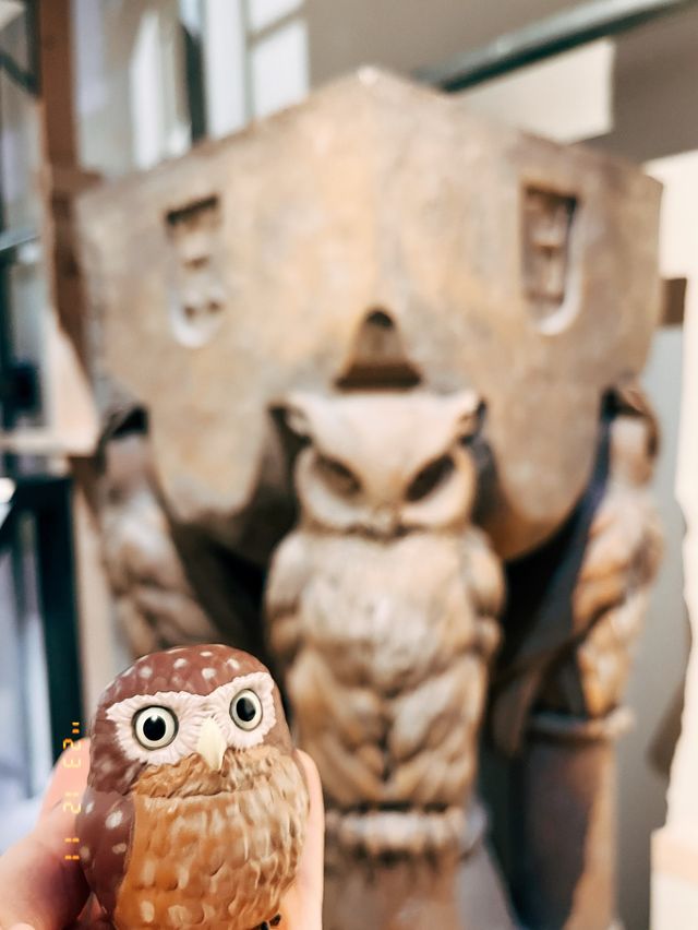 🇯🇵 日本東京華納兄弟哈利波特影城🧙🪄👣