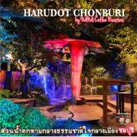 ป่าน้ำตกใจกลางเมืองชลบุรี โซนใหม่ล่าสุด ร่มรื่น